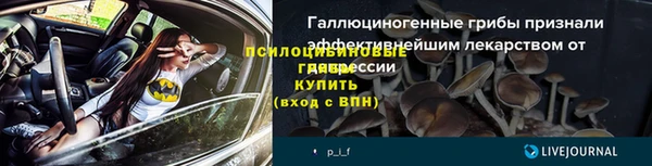 дмт Вяземский