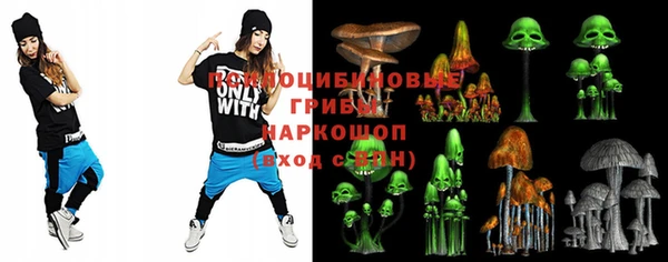 молекула духа Горно-Алтайск