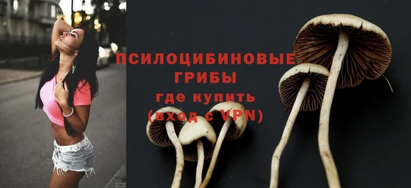 а пвп мука Вязники