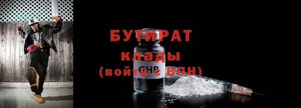 дживик Туринск