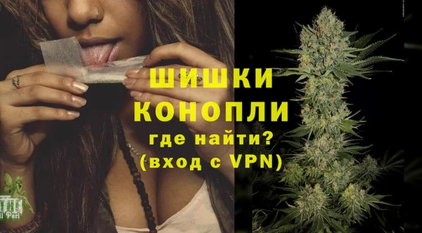 дмт Вяземский